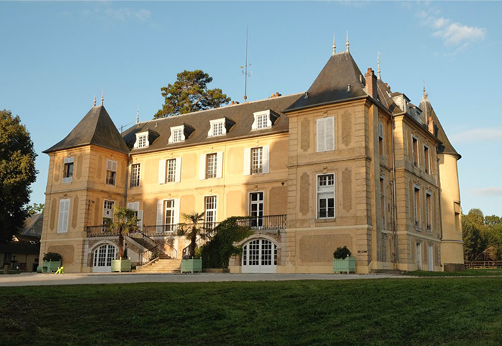 Château de Vaugrigneuse